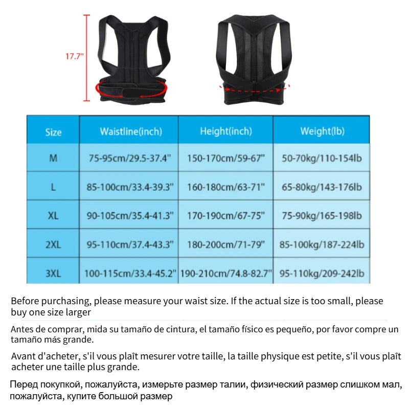 ErgoAlign Back And Neck Support