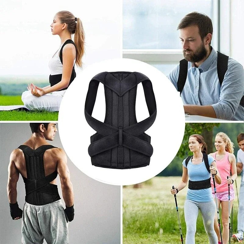 ErgoAlign Back And Neck Support